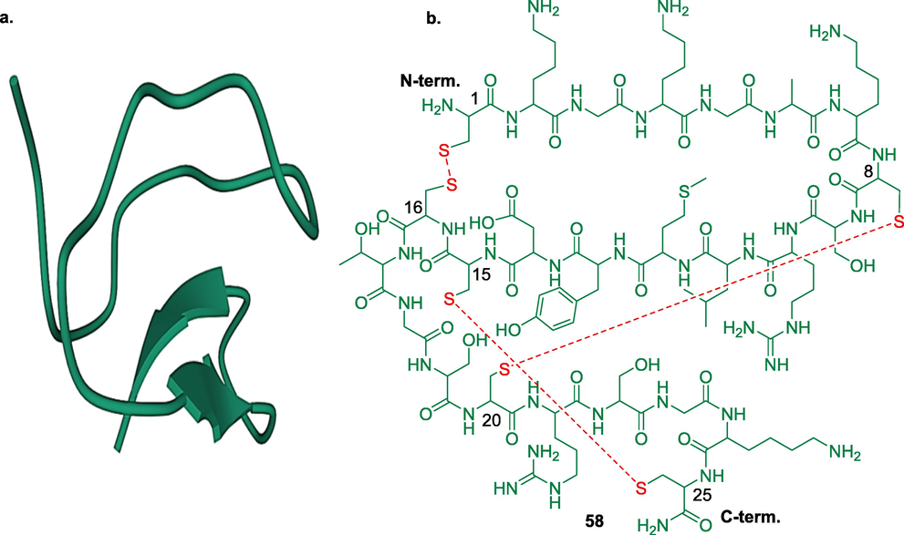 a. crystal structure of ω-conotoxin from Conus geographus (PDB ID: 1TTL) and b. ziconotide showing three disulphide bonds.