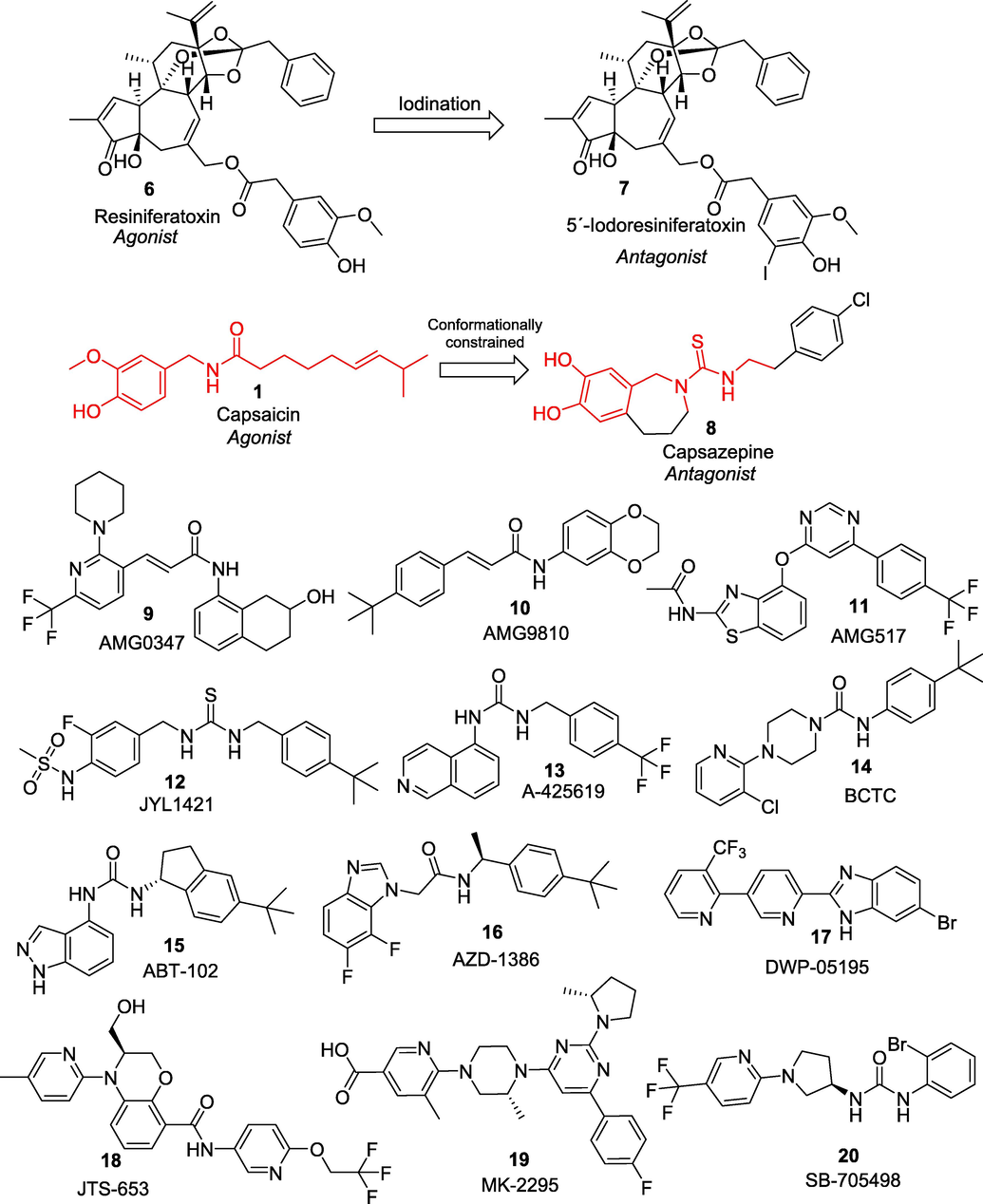 Selective blockers of TRPV1 ion channel developed as a potential treatment for chronic pain.