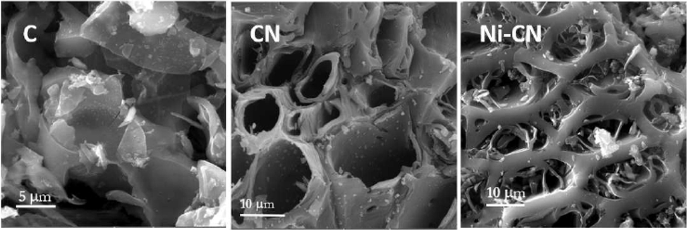 SEM images of adsorbent C, CN, and Ni-CN (Ganiyu et al., 2020).