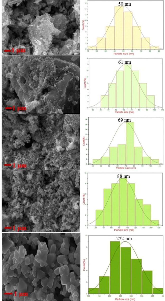 SEM micrographs of ZnFe2O4 samples.