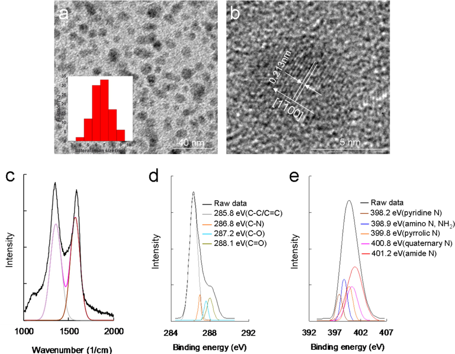 (a) Low-magnified TEM image [inset: Quantitative size distribution was determined by DLS. Cell type: DTS1060C; Measurement duration: 30 number of runs, 20 run duration (sec)]; (b) HR-TEM image of a single amino-N-GQD with d-spacing of 0.213 nm. (c) Amino-N-GQD Raman spectrum decomposed and fitted to D-band (gray line) and G-band (brown line) peaks (at ∼1384 and ∼1606 cm−1, respectively; pink line: decomposed spectrum; black line: raw data). (d and e) Deconvoluted XPS spectra of C(1 s) with peaks for C–C/C=C, C–N, C–O, and C=O. Spectra and XPS peaks for N(1 s) of pyridinic N, amino N (NH2), pyrrolic N, quaternary N, and amide N (O=C–N). The Gaussian function was used to fit the peaks. Other XPS findings are presented in Fig. S1f (Supplementary Material). Material dose: 1 μg mL−1.