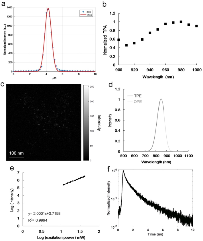 (a) Laser system z-axis resolution (FWHM; ∼948.35 nm; fitting function: Gaussian function). The second harmonic generation signal at different positions was measured through a z-axis scan of a thin gold film. (b) Amino-N-GQD-polymer composites relative TPA spectra. TPE executed at 118.32 nJ pixel−1 as a function of wavelength (900–1000 nm) was applied for signal monitoring. (c) Amino-N-GQD-polymer composite TPL image (gray level) obtained through TPE at 118.32 nJ pixel−1 over 30 scans (total effective exposure time: ∼0.20 s; scan rate: 6.80 ms per scan; scan area: 200 × 200 μm2; calculations presented in the materials and methods section, Supplementary Material). (d) Relative PL spectra of amino-N-GQD-polymer composites exposed to 10 mW of excited power under OPE (808-nm CW laser diode; Ex/Em: 808 nm/ 846 nm) and TPE (Ex/Em: 980 nm/ 845 nm; power: 159.32 nJ pixel−1; cutoff: 900 nm, as executed using cascading filters). (e) TPL intensity dependence (slope: 2.00) on the amino-N-GQD-polymer composites’ excitation power (logarithm); TPE exposure from 1183.20 to 4732.80 nJ pixel−1 (Ex: 980 nm; R2 > 0.999). (f) Material time-resolved room-temperature PL decay profiles (Ex: 980 nm; power: 118.32 nJ pixel−1). Material dose: 1 μg mL−1.