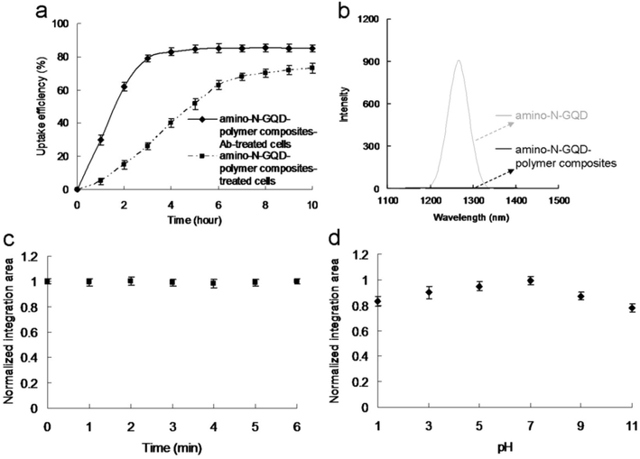 (a) Uptake of amino-N-GQD-polymer composites with and without AbEGFR by A431 cells at 37 °C. (b) PL spectral measurements of amino-N-GQDs and amino-N-GQD-polymer composites at 1270 nm. (c) Two-photon stability of amino-N-GQD-polymer composites. TPL spectrum of the material under TPE at 4732.80 nJ pixel−1 for detecting materials with irradiation. Peak located at 845 nm under TPE (Ex: 980 nm). The integrated area maintained nearly constant relative intensity as a function of TPE time (0–6 min; number of scans: approximately 0–52941 scans) and at 500–900 nm, demonstrating high photostability. (d) Amino-N-GQD-polymer composite TPL emissions under 4732.80 nJ pixel−1 TPE (Ex: 980 nm) were pH dependent. Integrated-area TPL intensity as a function of pH (1–11) from 500 to 900 nm. The amino-N-GQD-polymer composites’ TPL intensity values were high from pH 1 to 11. Material dose: 1 μg mL−1. Data presented as mean ± SD (n = 6).