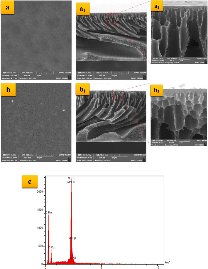 Top-surface and cross-section FESEM images of the PES (a: 1 µm, a1: 50 µm, a2: 2 µm) and PES/MoS2 (b: 10 µm, b1: 50 µm, b2: 2 µm) membrane and EDX analysis of the PES/MoS2 membrane (c).