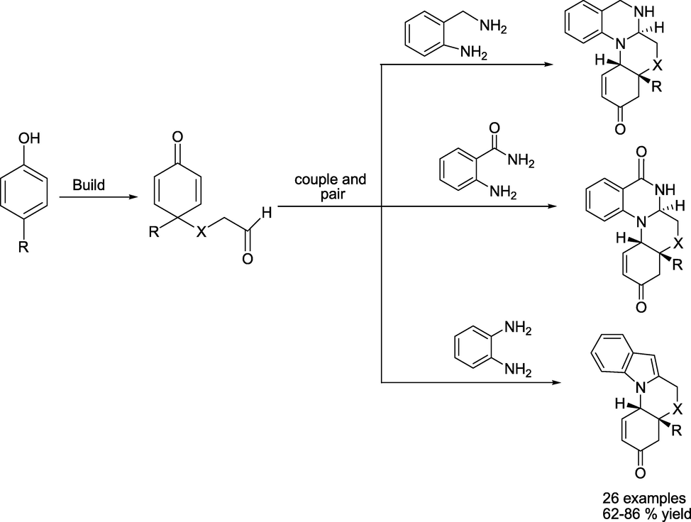 Synthetic protocols for functionalised Quinazoline Scaffolds.