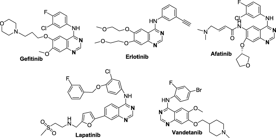 FDA Approved quinazoline motifs for cancer therapy.