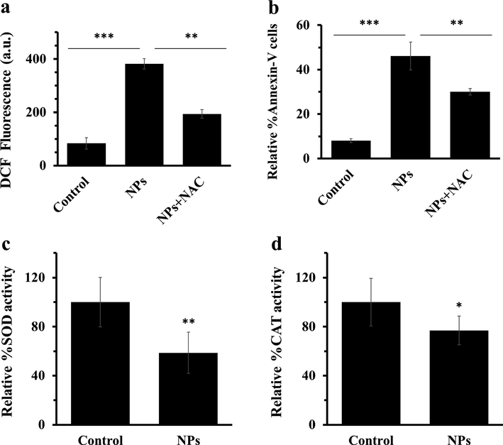 (a) quantification of 2′-7′ dichlorofluorescein (DCF) intensity of AGS cells with IC50 concentrations of ZnO NPs after 4 h, (b) quantification of the percentage of Annexin-V FITC-positive cells, (c) percentage of SOD activity, (d) percentage of CAT activity after incubation of AGS cells with IC50 concentrations of ZnO NPs for 24 h. Each data reported as the mean ± SD of three experiments. *p < 0.05, **p < 0.01, ***p < 0.001.