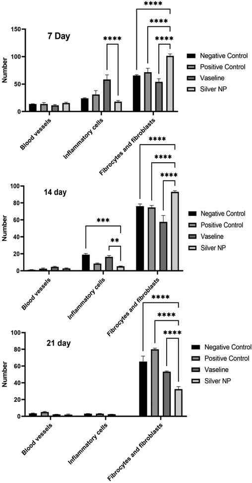 histological analysis of wounds after 7, 14, and 21 days of injuring (p < 0.001 ****, p < 0.005 ***, p < 0.01 **, p < 0.05 *).