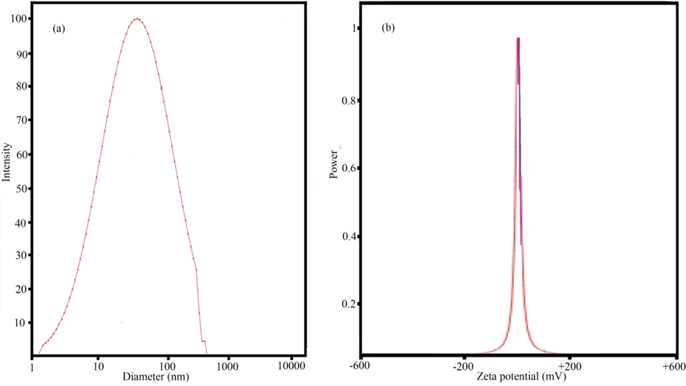 DLS and zeta potential analysis of images of sample no. 14.