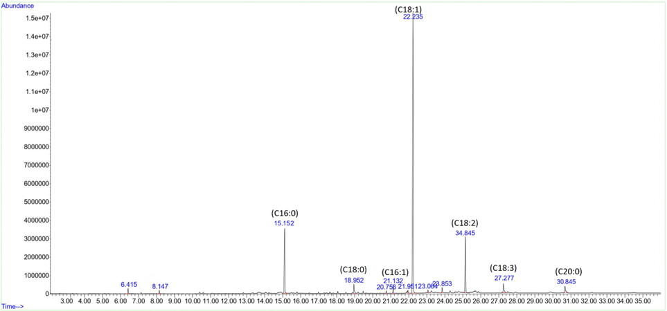 A typical GC–MS chromatogram for fatty acids analysis of lipid fraction from olive fruit of BARI-Zaitoon-1 at the fully-ripen stage.