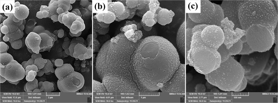 SEM images of the product prepared from CuCl2 and Mn(NO3)2·4H2O in the presence of glucose via sol–gel method at 850 ˚C for 4 h (sample 8).