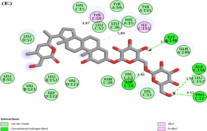 2D molecular interaction of TNF-α With (A) Rutin (B) Staurosporine (C) Withanoside II (D) Somnifericin (E) Withanoside IV.