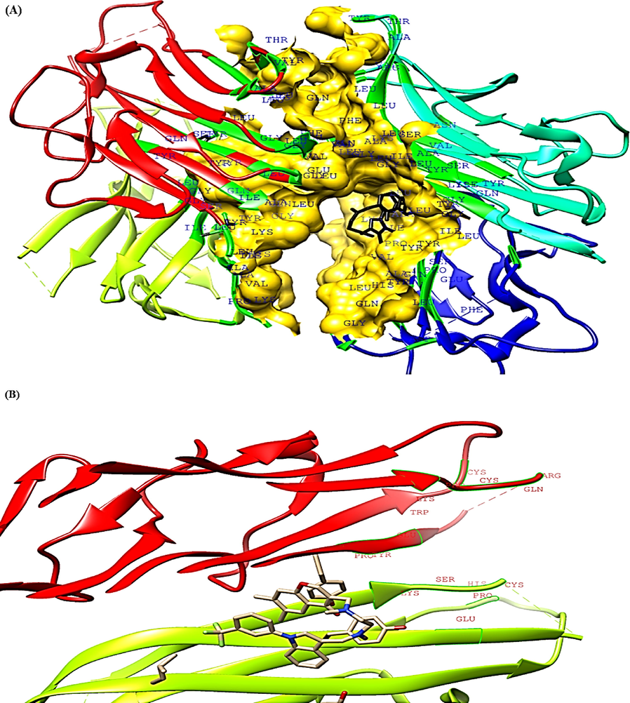 CASTp analysis of TNF-α (A-D) Top four binding pockets (E) Pocket sequence.