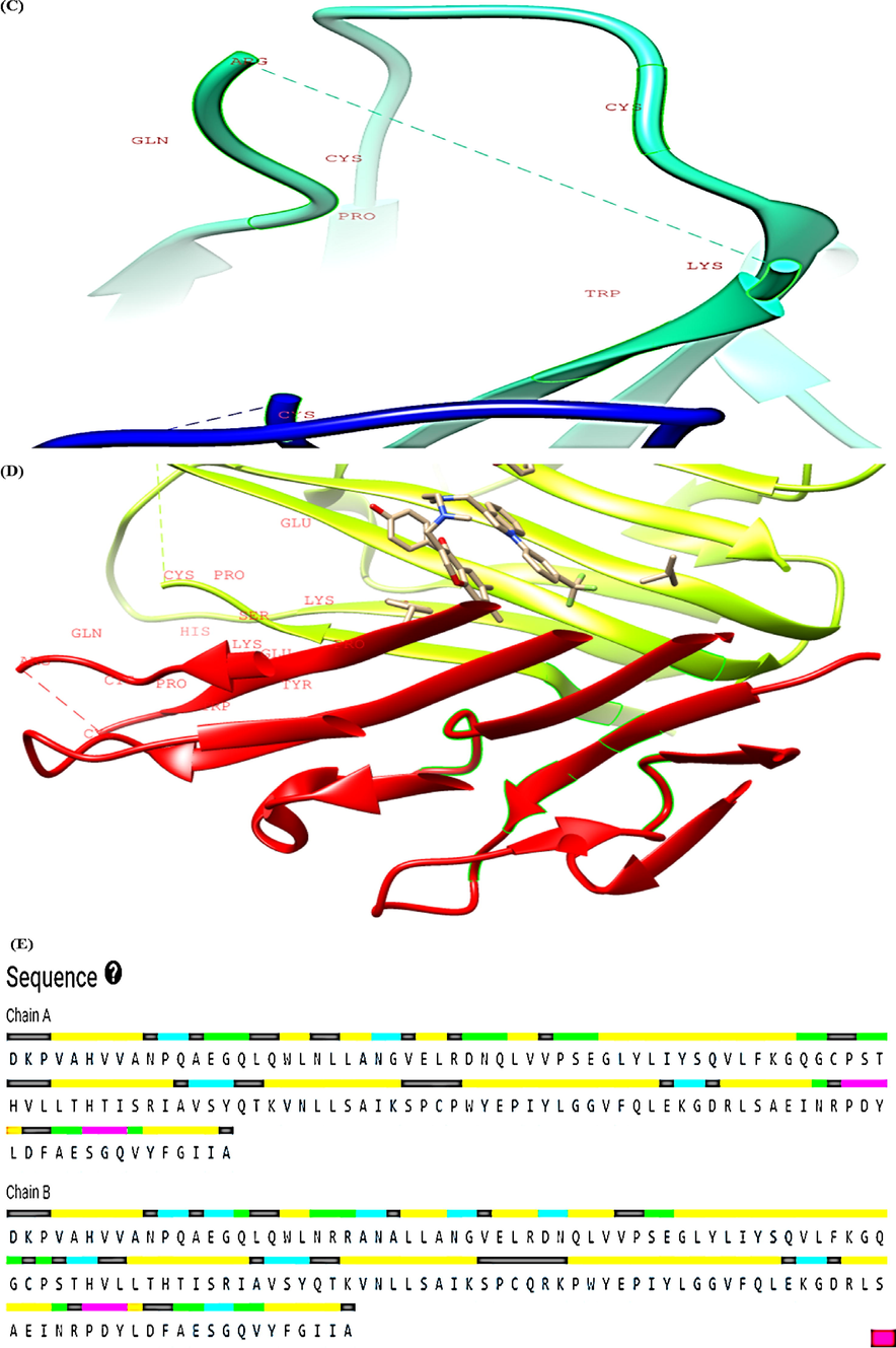 CASTp analysis of TNF-α (A-D) Top four binding pockets (E) Pocket sequence.