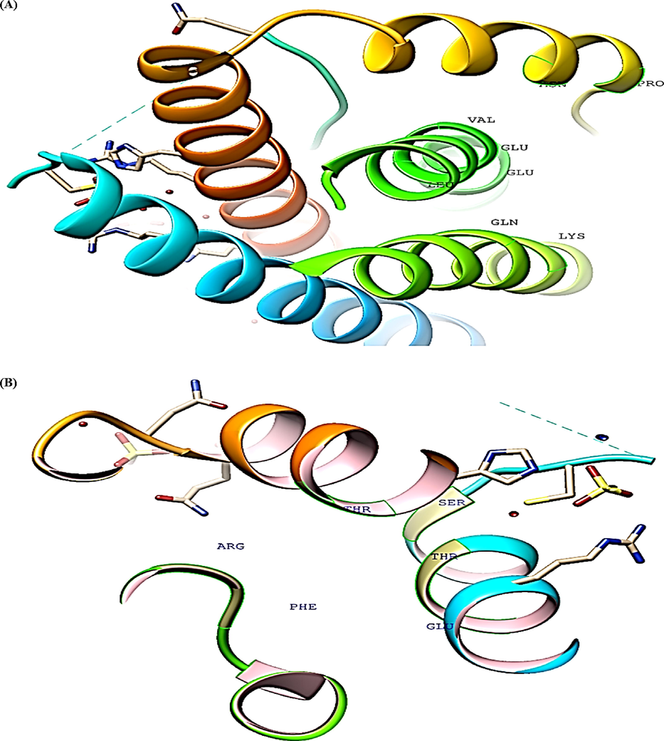 CASTp analysis of IL-6 protein (A-D) Top four binding pockets (E) Protein sequence.