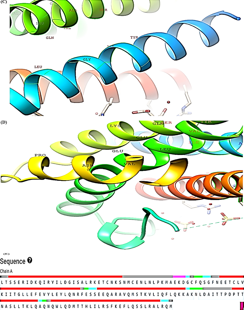 CASTp analysis of IL-6 protein (A-D) Top four binding pockets (E) Protein sequence.