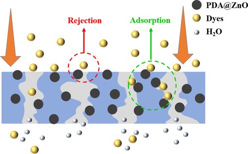 Schematic illustration of membrane filtration of dyes.