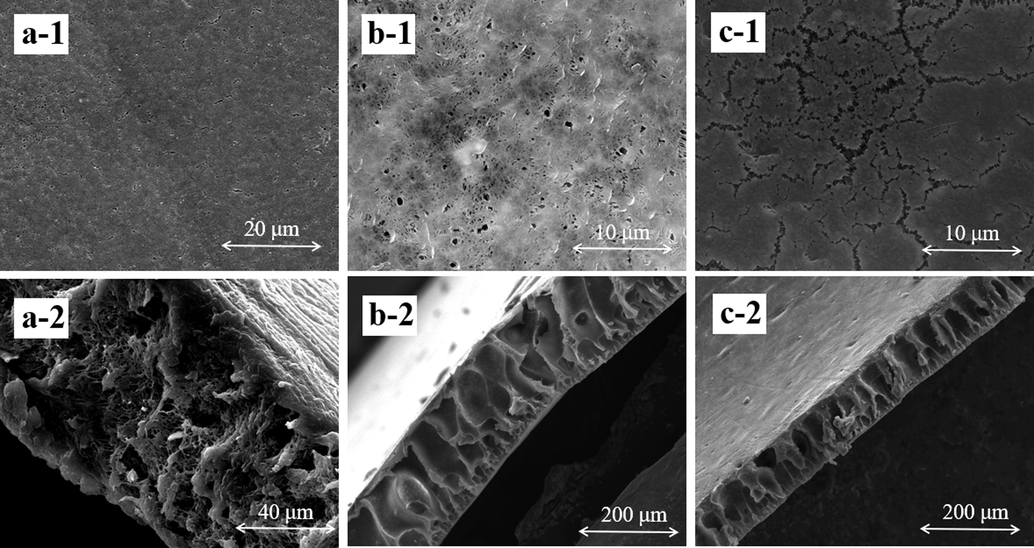 SEM image of the top surface and cross-section of membranes: (a) pure PVDF membrane, (b) PDA@ZnO/PVDF(PVP)-2.0, (c) PDA@ZnO/PVDF(LiCl)-2.0.