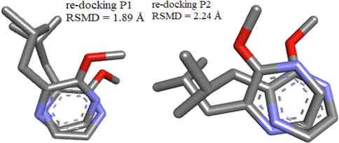 Redocking of the active site positions (P1) and (P2) with the RMSD values.