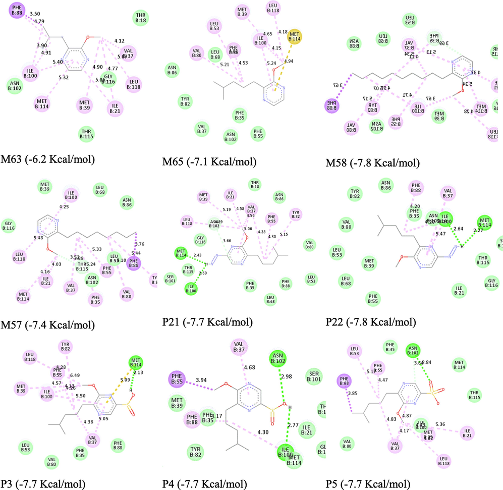 The interactions of newly designed compounds are shown in 2D docking poses.