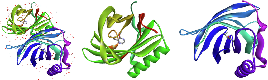 Representation of the crystalline structure 1DZK.pdb, chain A in green (ligand: 2-methoxy-3-(2-methylprop-2-en-1-yl) pyrazine) and chain B in blue (ligand: 2-methoxy-3-(2-methylpropyl) pyrazine).