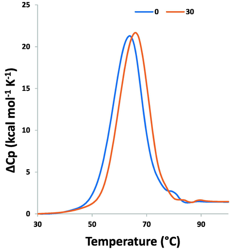 DSC thermogram for the interaction of PCA (30 µM) and HSA (10 µM) for exploring the Tm of protein.