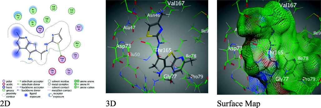 Binding interactions between derivative 5 and 1AJ6 amino-acids.