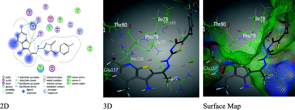 Binding interactions between derivative 8 and 1AJ6 amino-acids.