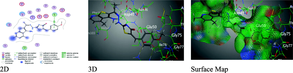 Binding interactions between derivative 9 and 1AJ6 amino-acids.
