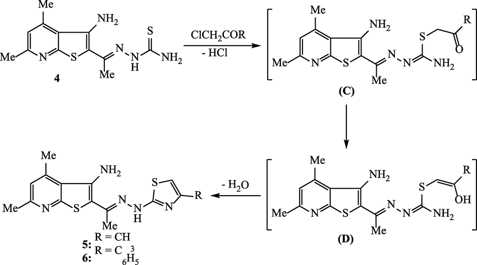 Synthesis of thienopyridine-thiazole hybrids 5 and 6.