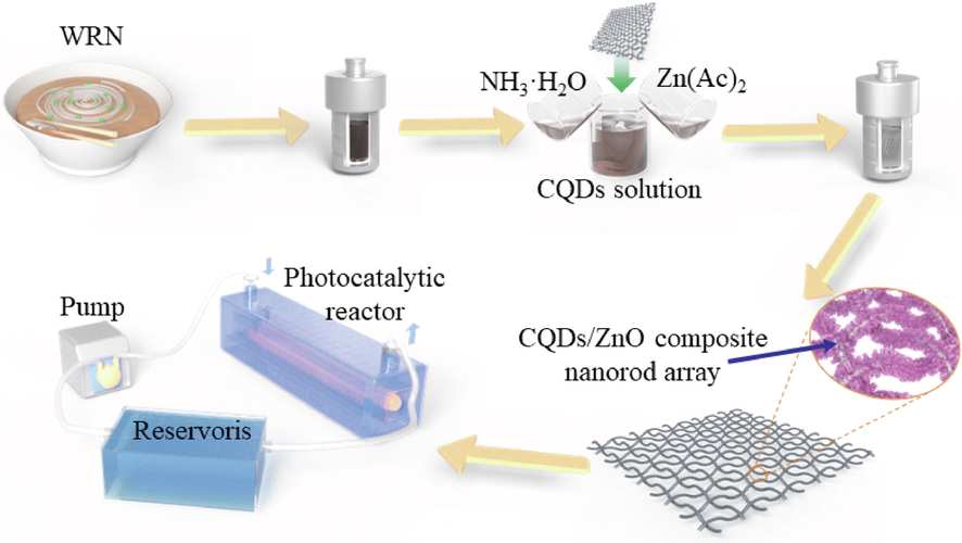 Schematic illustration of the synthesis and device integration of WRN-based CQDs/ZnO composite nanorod array on steel wire mesh.