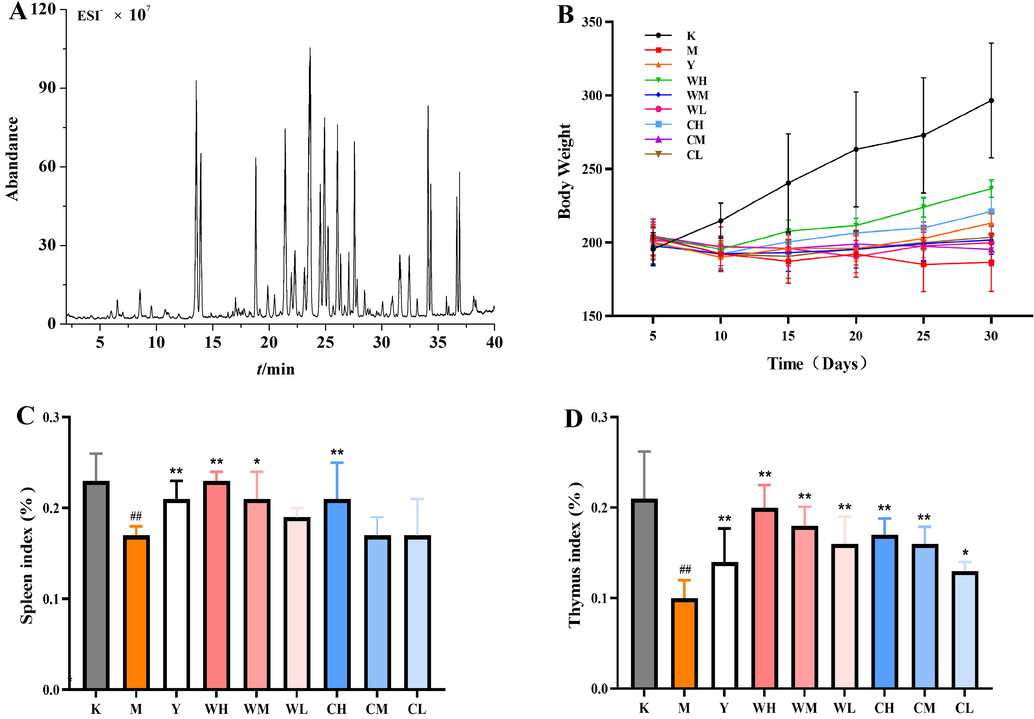 Ginsenoside analysis of total ion chromatography (TIC) of total ginsenosides (TGs) in electrospray ionization (ESI−) mode (A); body weight and organ indices of rats in each group: body weight (B), spleen index (C), and thymus index (D). Note: Compared with the blank group (K), # represents significant difference (p < 0.05), and ## represents highly significant difference (p < 0.01) in the model group (M). Compared with the model group (M), * represents significant difference (p < 0.05), and ** represents highly significant difference (p < 0.01) in the drug administration group (Y, WH, WM, WL, CH, CM, and CL).