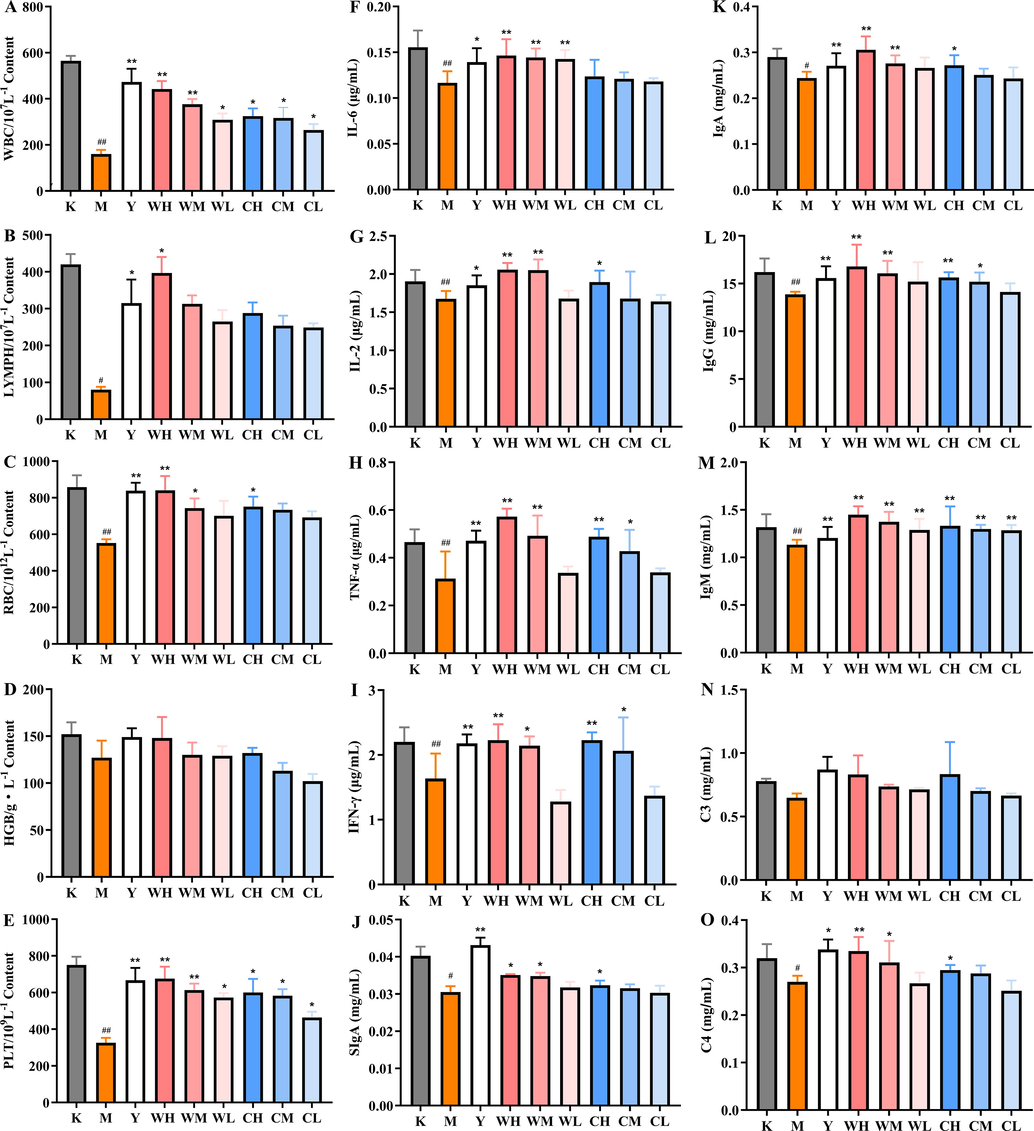 Basic immune-related indicators. (A) WBC, (B) LYMPH, (C) RBC, (D) HGB, (E) PLT, (F) IL-6, (G) IL-2, (H) IFN-γ, (I) TNF-α, (J) sIgG, (K) IgA, (L) IgG, (M) IgM, (N) C3, and (O) C4. Note: Compared with the blank group (K), # represents significant difference (p < 0.05), and ## represents highly significant difference (p < 0.01) in the model group (M). Compared with the model group (M), * represents significant difference (p < 0.05), and ** represents highly significant difference (p < 0.01) in the drug administration group (Y, WH, WM, WL, CH, CM, and CL).