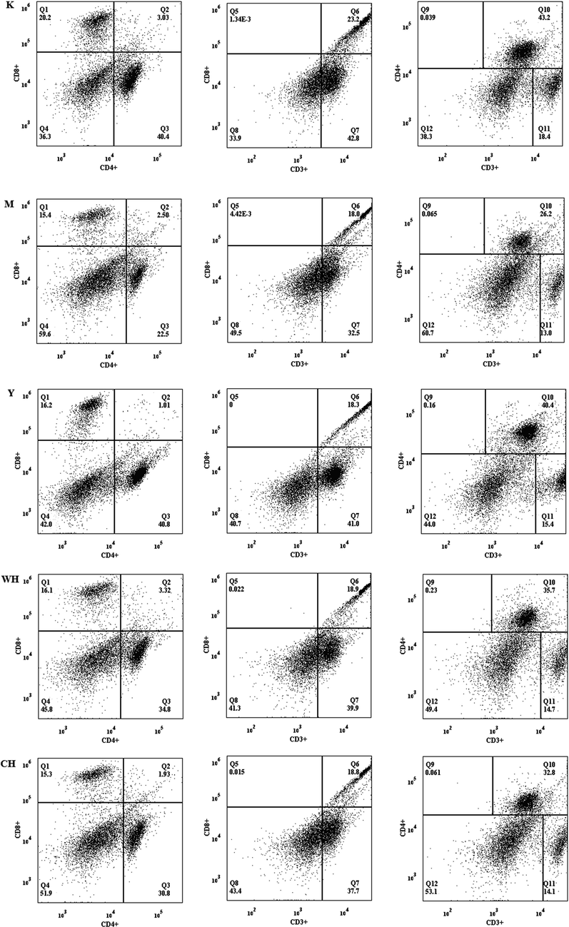 Effect of WG on the expression of spleen lymphocyte subpopulations in rats with SQD.