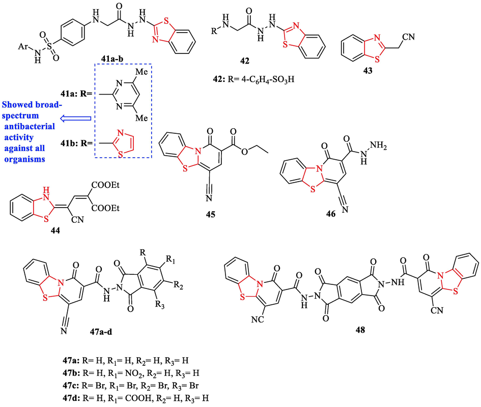 Chemical structures 41a-b, 42–46, 47a-d, and 48 (Fadda et al., 2019)