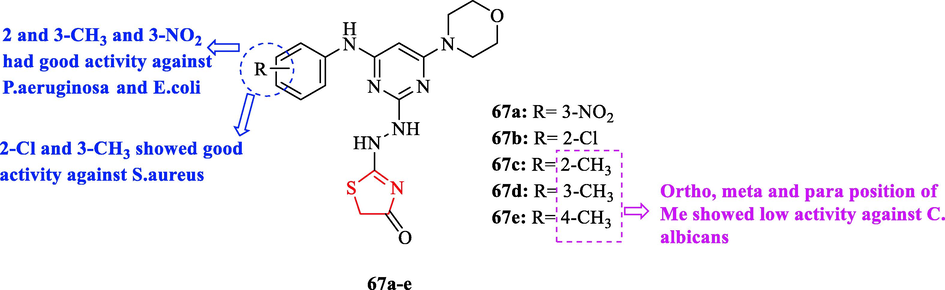 Chemical structures 67a-e (Patel et al., 2020)