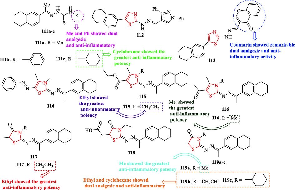 The structures of 1,2,3,4-tetrahydronaphthalen-6-yl-thiazole and thiazolidinone derivatives (111a-c, 112–118, and 119a-c) (Haiba et al., 2014)