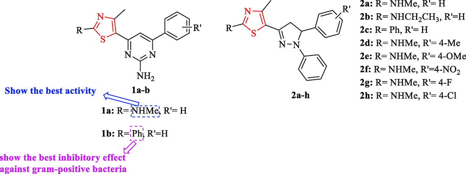 Chemical structures 1a-b and 2a-h (Liaras et al., 2014)