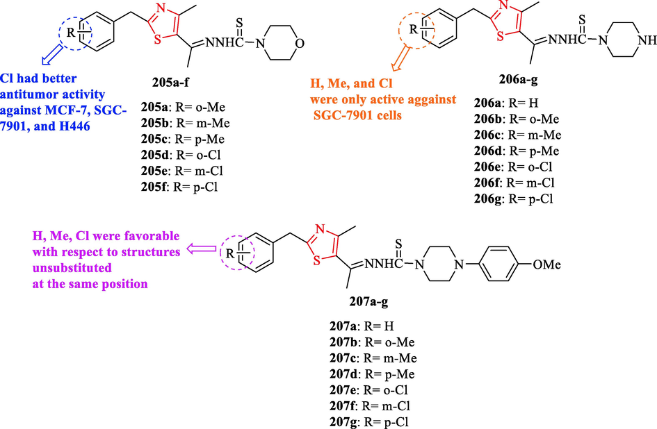 Chemical structures 205a-f, 206a-g, and 207a-g (Shi et al., 2016)