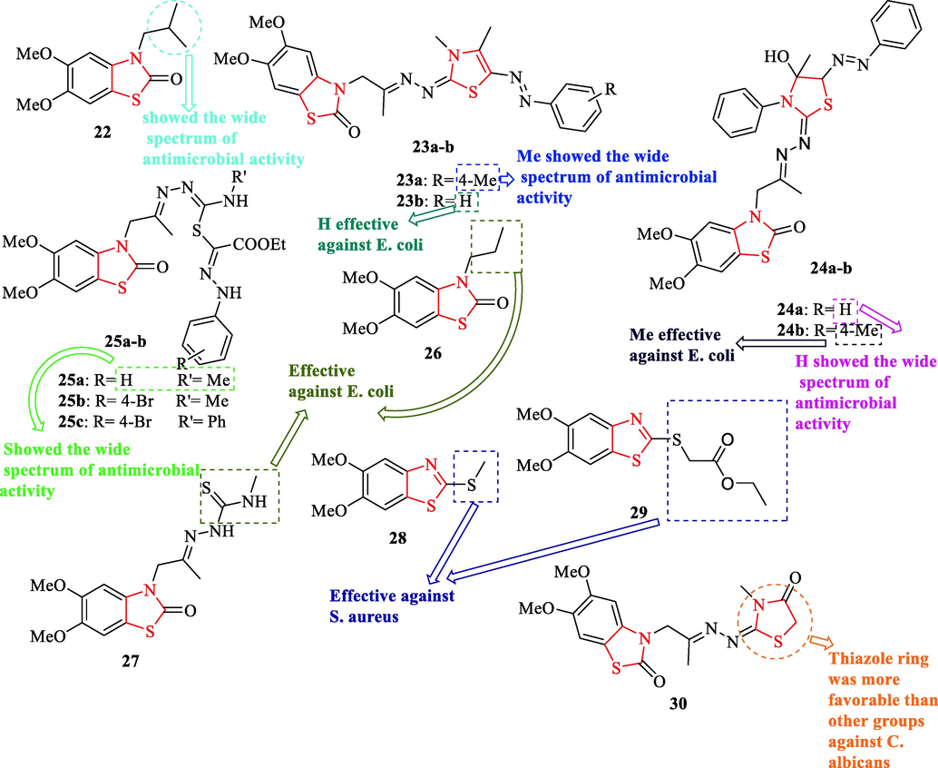 Chemical structures of 22, 23a-b, 24a-b, 25a-c, 26, 27, 28, 29, and 30 (El-Kady et al., 2016)