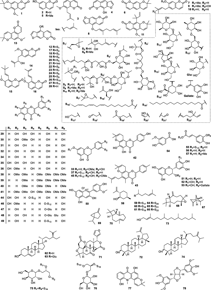 Chemical structure of coumarins isolated from C. hystrix.