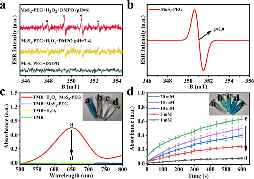 (a) ESR spectra of MoS2-PEG under various conditions. (b) ESR spectra of MoS2-PEG. (c) Ultraviolet absorption spectrum and corresponding picture of different systems. system a: TMB + H2O2 + MoS2-PEG nanozymes; system b: TMB + MoS2-PEG nanozymes; system c: TMB + H2O2 and system d: TMB. (d) Reaction–time curves of the TMB colorimetric reaction.