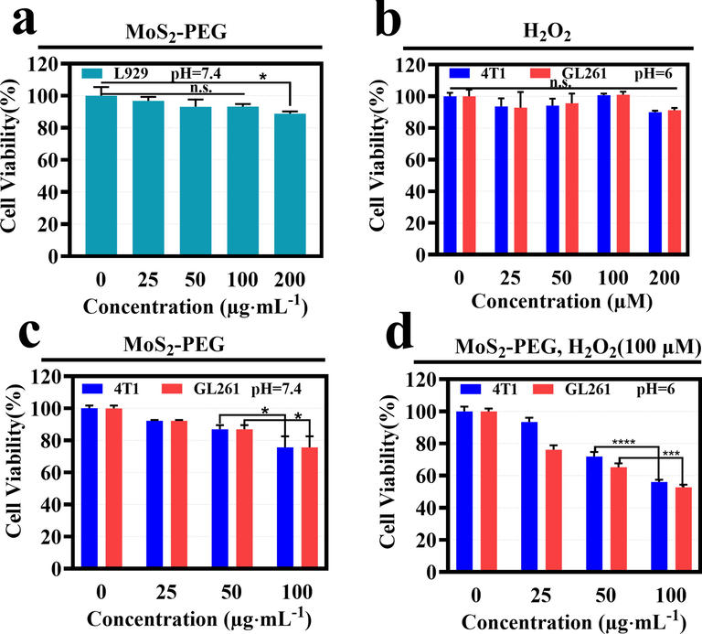 (a) Cell viabilities of L929 cells incubated by MoS2-PEG nanozymes; (b) Viability assays of 4 T1 cells and GL261 cells treated with mildly acidic culture medium (pH = 6.0) by H2O2 at various concentrations; (c) Cell viability of 4 T1 cells and GL261 cells handled with neutral culture medium (pH = 7.4) by MoS2-PEG nanozymes at different concentrations for 24 h; (d) 4 T1 cells and GL261 cells relative cell viability analyses of MoS2-PEG nanozymes + H2O2 under mildly acidic culture medium (pH = 6.0).