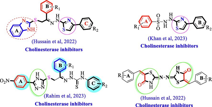 Our reported N-containing heterocyclic analogs as potent inhibitors of acetylcholinesterase and butyrylcholinesterase enzymes.