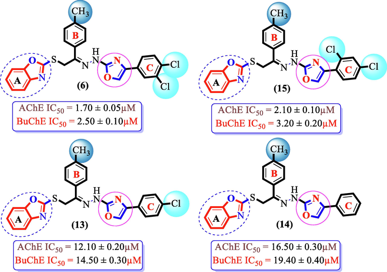 SAR study of analogues6, 13, 14 and 15.