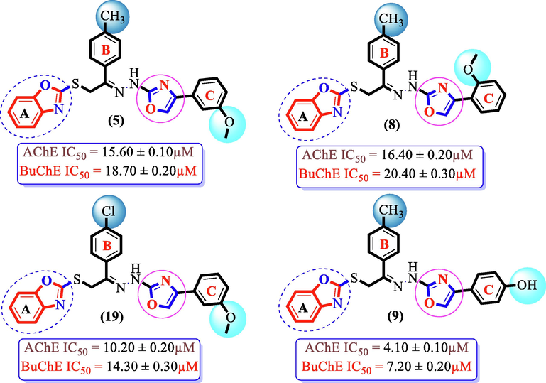 SAR study of analogues 5, 8, 9 and 19.