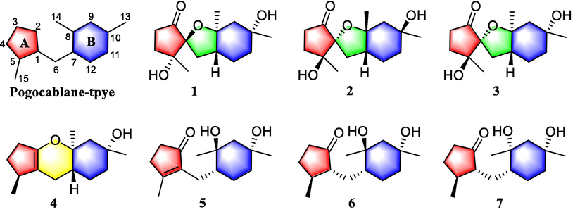 Structure of compounds 1–7.