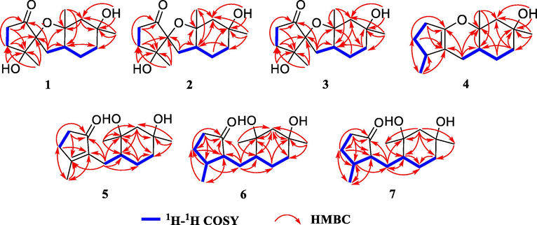 Key 1H−1H COSY and HMBC correlations of 1–7.