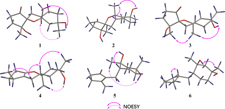 Key NOESY correlations of 1–6.