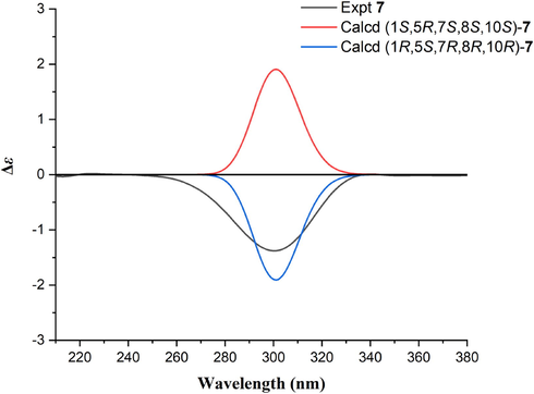 The experimental and calculated ECD spectra of compound 7.